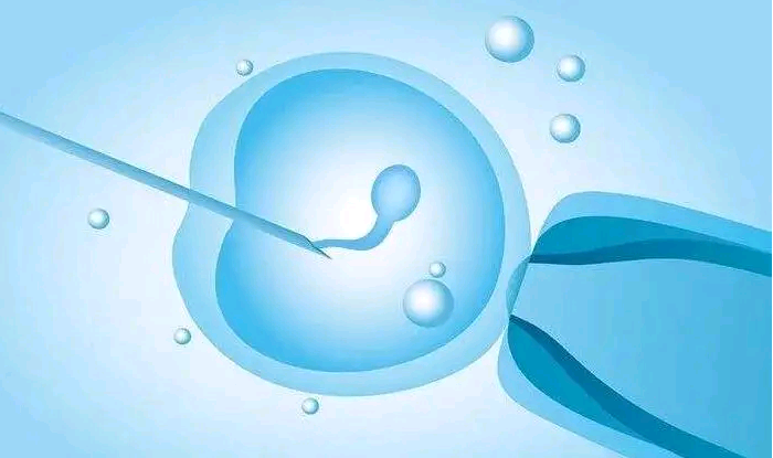 香港能供卵多少钱,泰国试管婴儿技术是如何帮助高龄女性提高胚胎移植的成功
