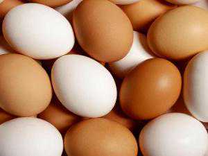 供卵机构价格_供卵就选孕妈妈,试管找供卵价格,北京供卵都找李广零风险
