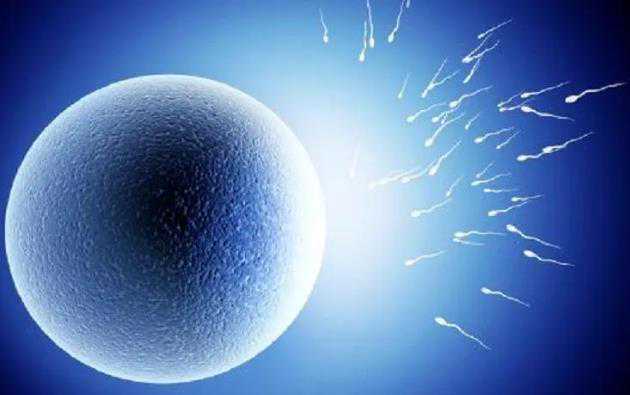 卵巢早衰只有供卵了吗,做泰国试管婴儿前男性也
