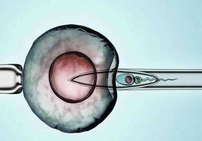 机构做供卵试管怎么样,河南供卵试管婴儿包生男孩成功费用，2023供卵生男孩费